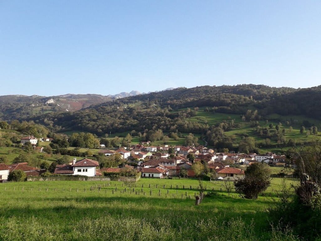 Benia