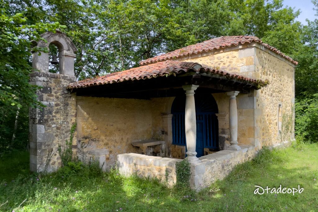 Santa Eugena